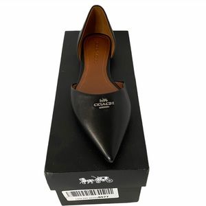 Coach leather pointed toe flat
